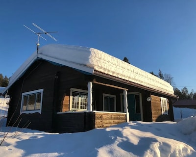 Vasa Ski Lodge