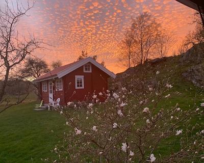 Cosy Apartment On Beautiful Tjörn!