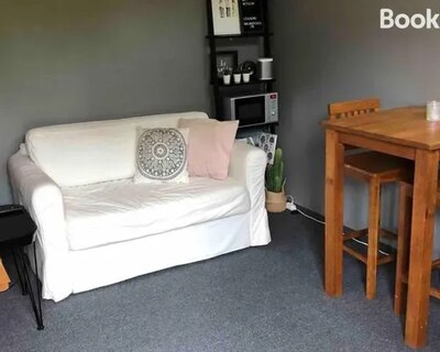 Hassleholm Med Narhet Till Strovomrade Och Sjo