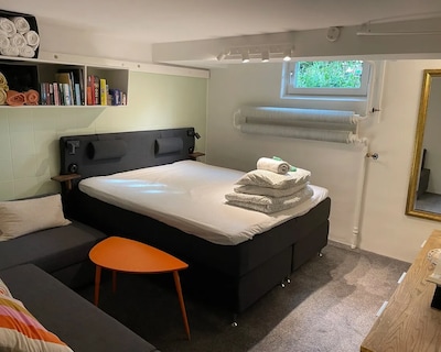 Free Parking At Renovated Basement Apartment