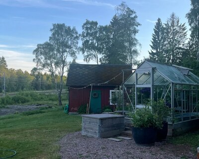 Lovely Cottage In The Woods