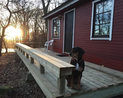 Happy Dogs Ranch-cabin, Nature Retreat