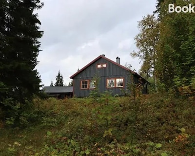 Cozy Mountain House In Jamtland