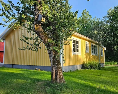 Cozy Cottage In The Countryside With Horses Nearby
