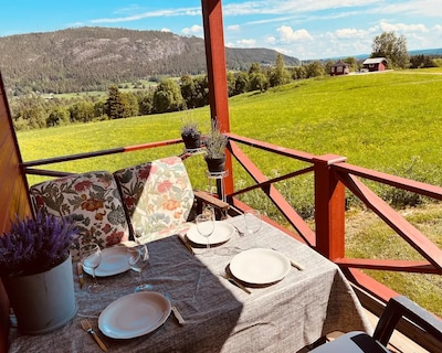 Cabin At Storsjön In Jämtland