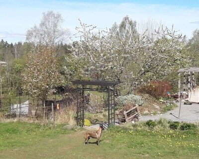 Stay In A Beautiful Garden Close To Göteborg,borås