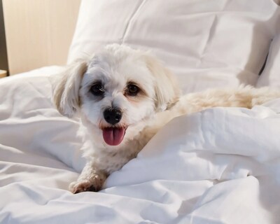 Good Morning Jönköping