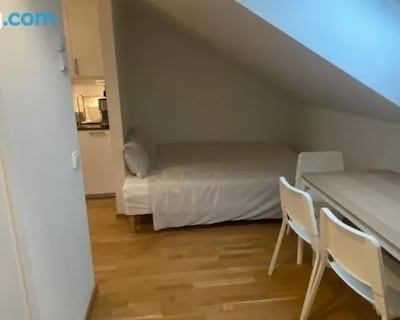 Luxurious Flat With A Private Rooftop Terrace