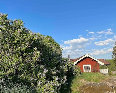 Cute cottage in the countryside