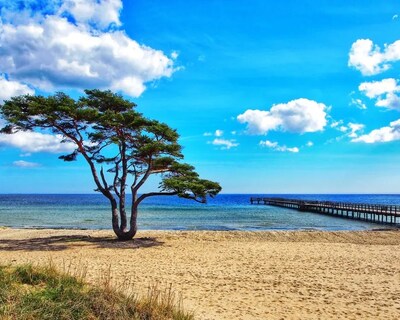 Annex with its own entrance in central Åhus!
