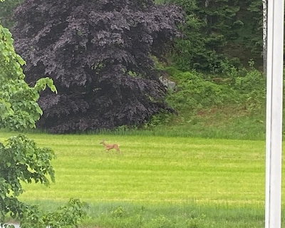 Lake Villa In Kungsäter