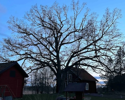 Cozy Cottage For Yourselves