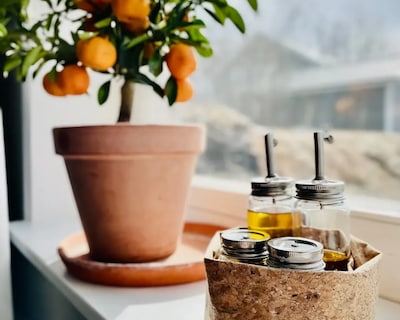 Guest Suite with Hotel Feeling