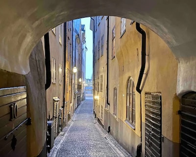 Large Town House near Royal Castle, 400 years old