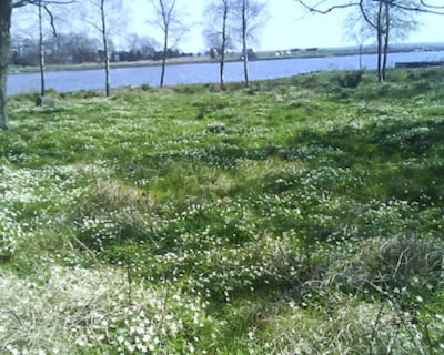 Holiday On A Farm On The Baltic Coast