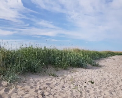 Historic Gem In The Middle Of Öland