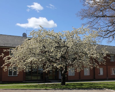 Vår Gård Saltsjöbaden