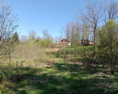 Log-cabin With Hot-tub / Views Of Forest & Valley