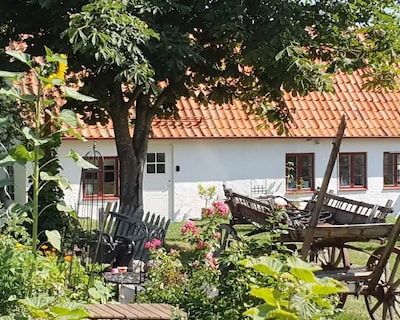 Norrekas Beach Studios