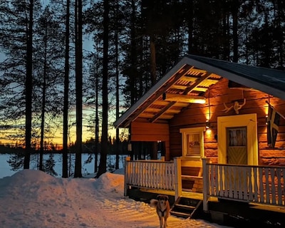 Pine Tree Cabin In Lappland