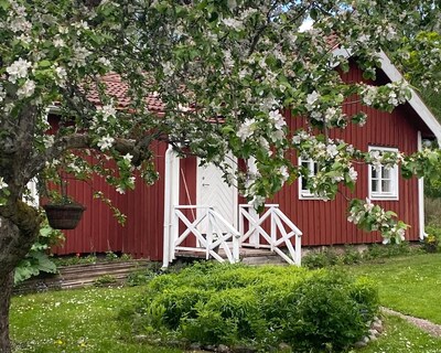 Cozy House By The Sea In Herräng