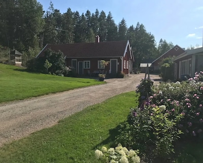 Sally's Cabin along road 42