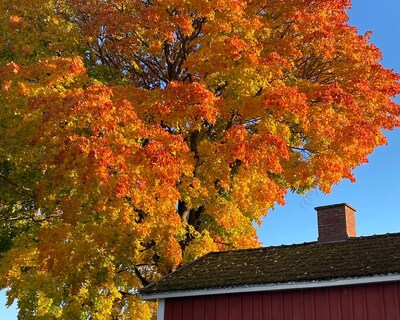Farmhouse In Småland Idyll Free Cancellation