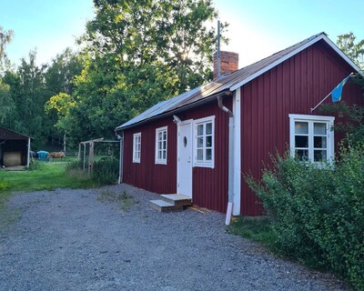 Newly Renovated Cottage On Horse Farm