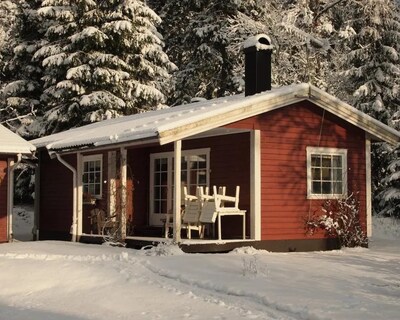 Cabin with fireplace and sauna and charging pole:-)