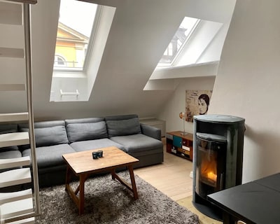 Stylish attic, 400 year old house in Old Town