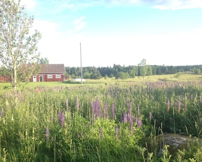 Countryside Cottage For Rent