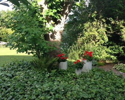 Solrosen I Simrishamn