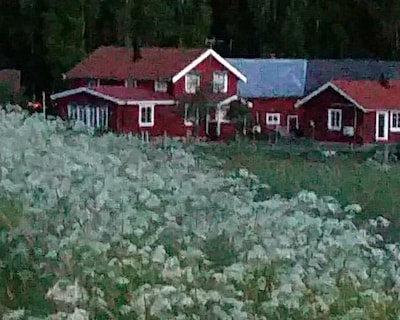 Stay at a rural farm on Sollerön