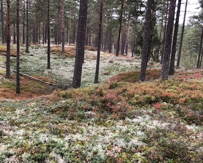 Stay In The Countryside By Hökensås